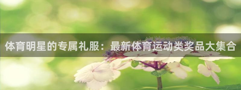 球速体育哪个更好