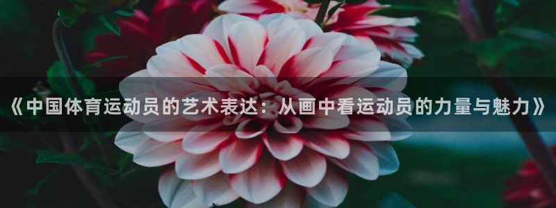 welcome球速体育