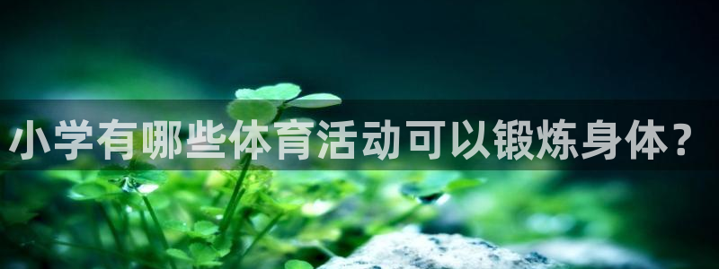 球速体育点1267碘top