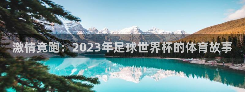 球速体育快人一步