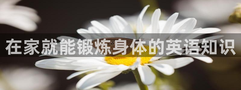 球速体育是正规平台吗
