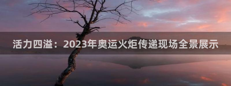 球速体育官网：活力四溢：2023年奥运火炬传递现场全景展示