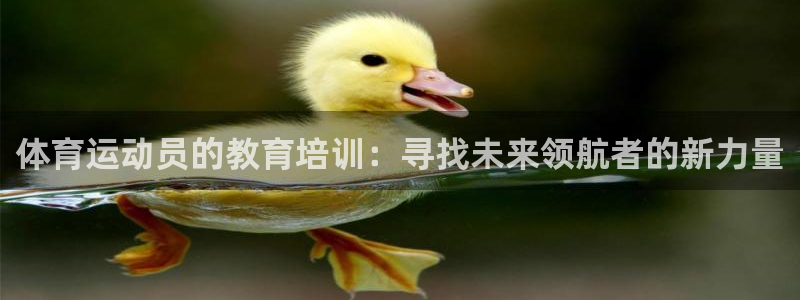 球速体育买球可靠吗