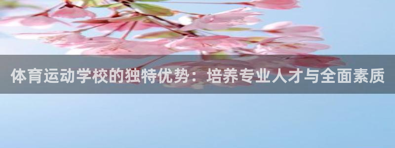 球速体育网址是多少