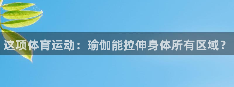 球速体育V11招办